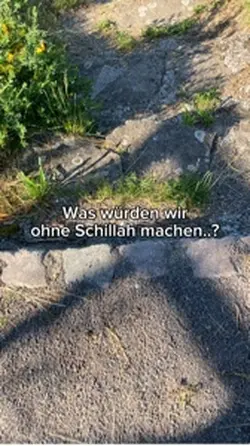 …