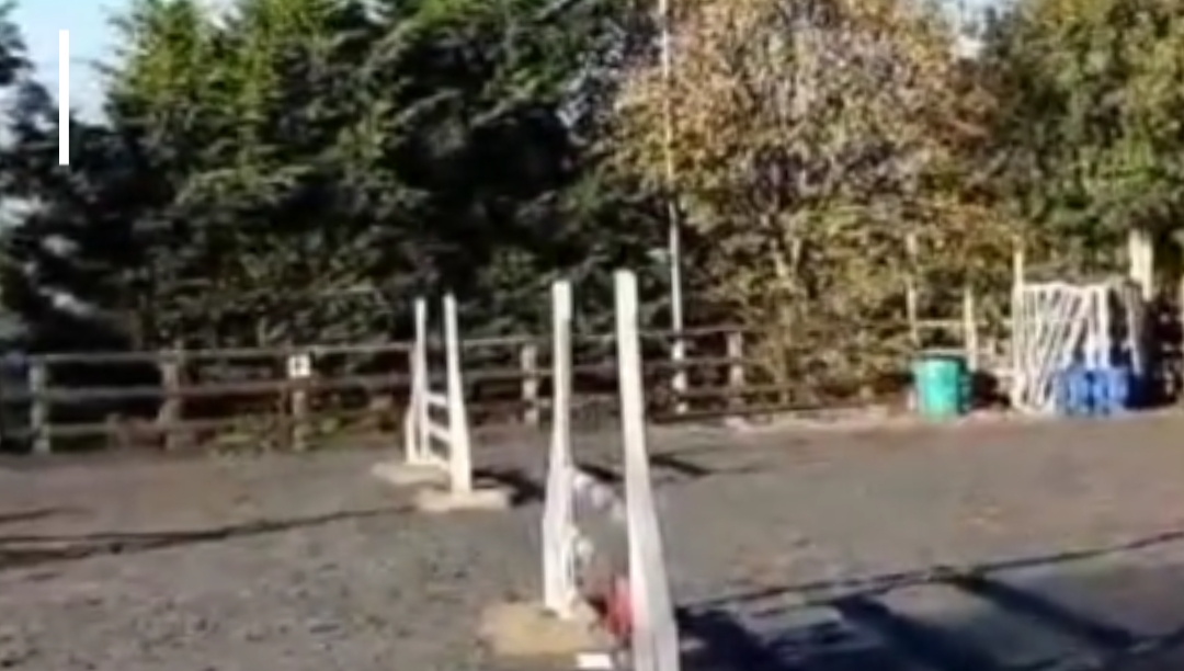 Ignore all the hate