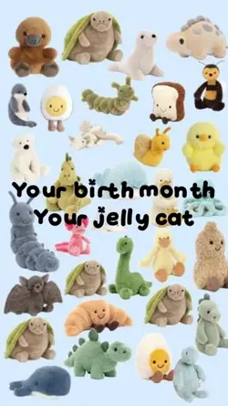 Jelly cat 