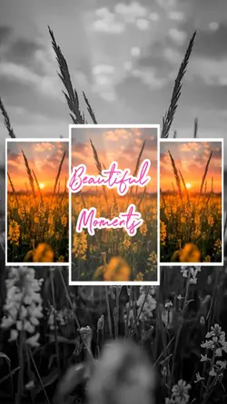 Beautiful Moments