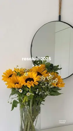 resolusi 2025