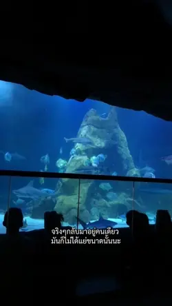 การอยู่คนเดียว