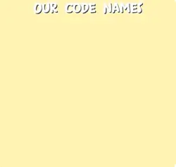 Code names 🤭