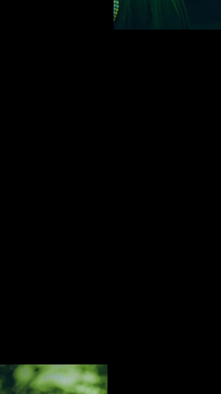 Hindi song Template