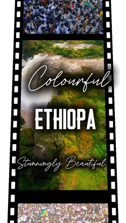 High Resolution View