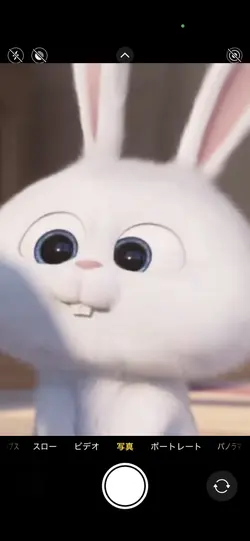 音楽に合わせて色が変わるやつ!