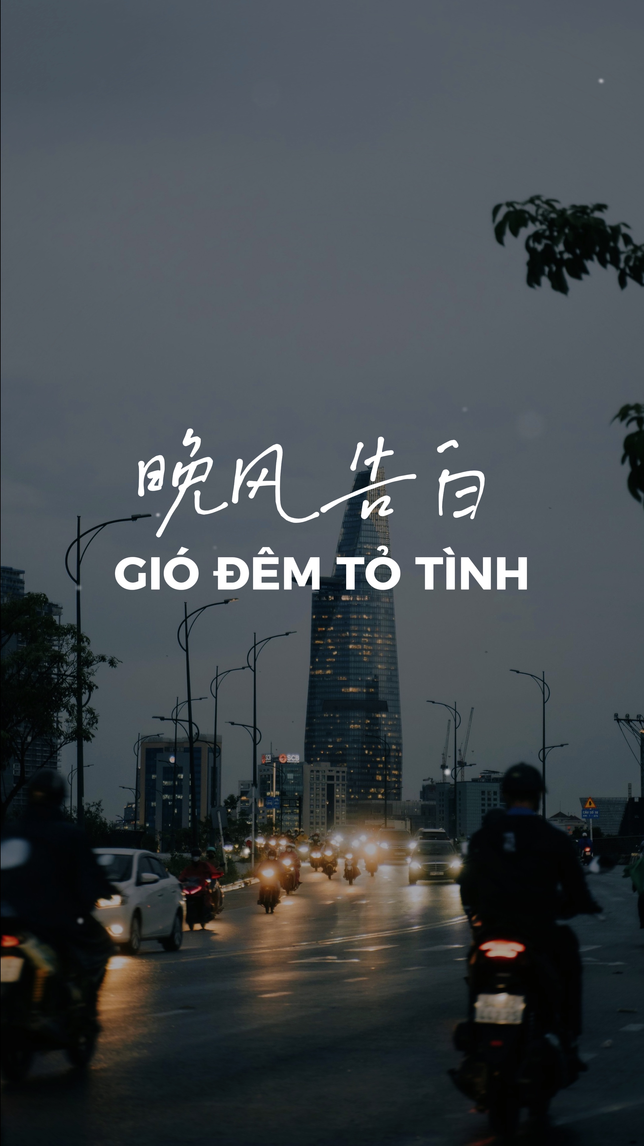 Gió đêm tỏ tình 