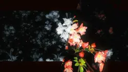 彩色玻璃