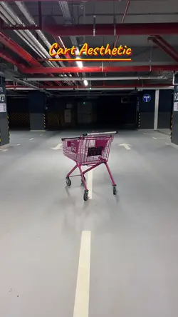 Shopping Cart