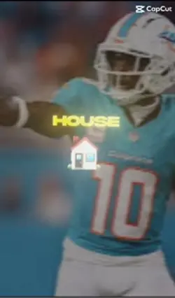 Miami dolphins