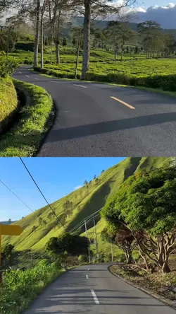 2 video 1 layout