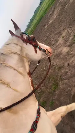 Night time ride ❤️