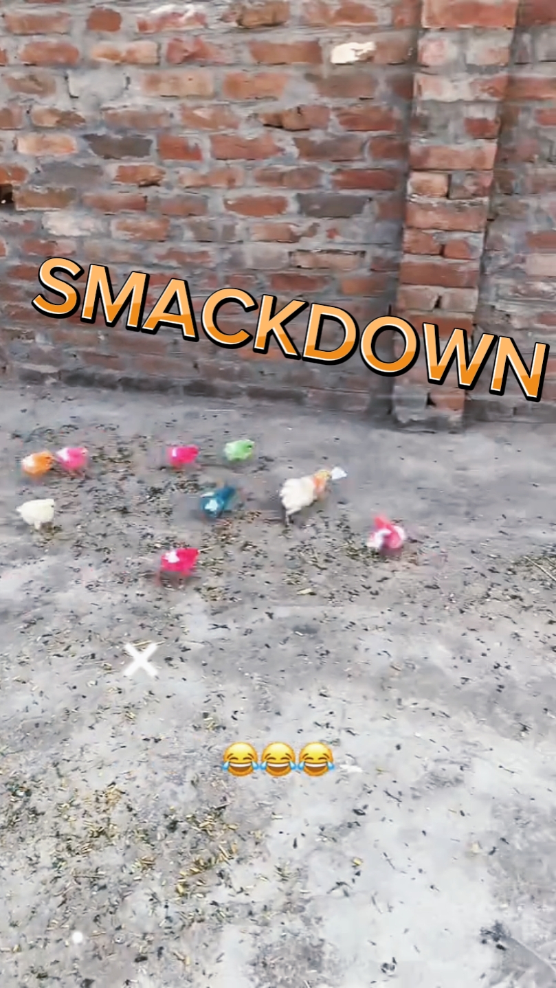 WWE SMACK DOWN