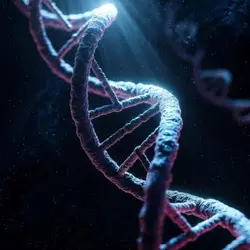 DNA Template