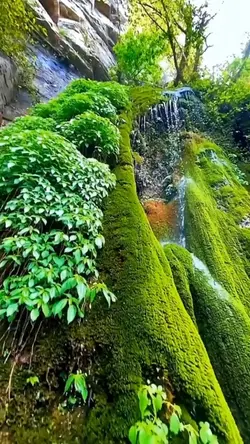 น้ำตกเสียงนกธรรมชาติ