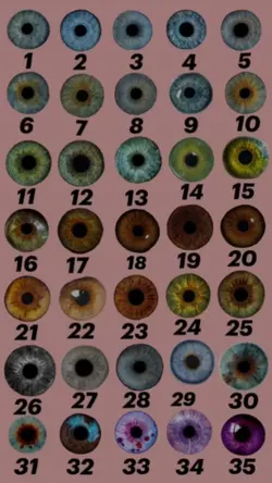 eye colours chart