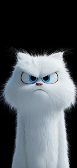 Cat wallpaper