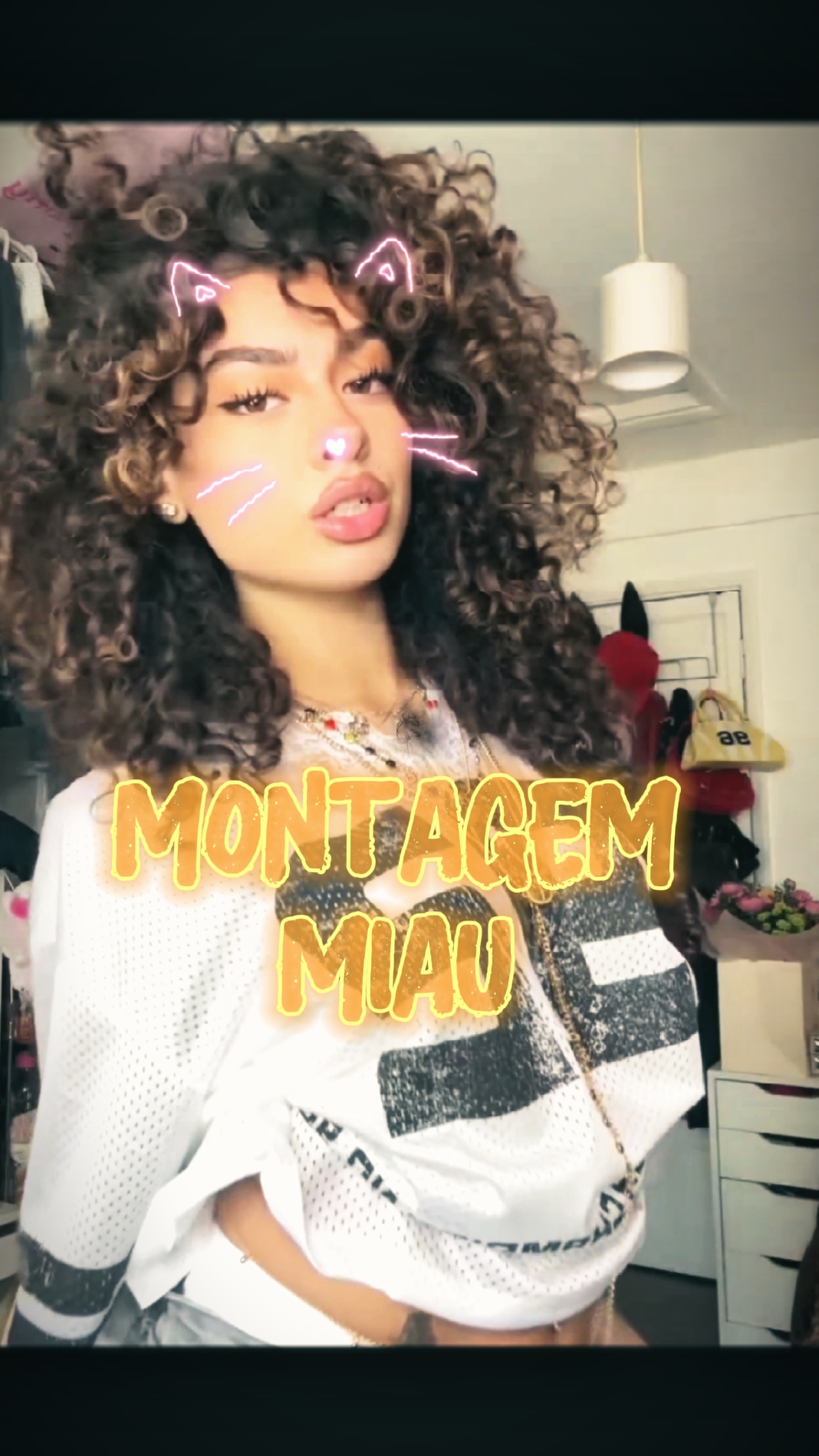 montagem miau