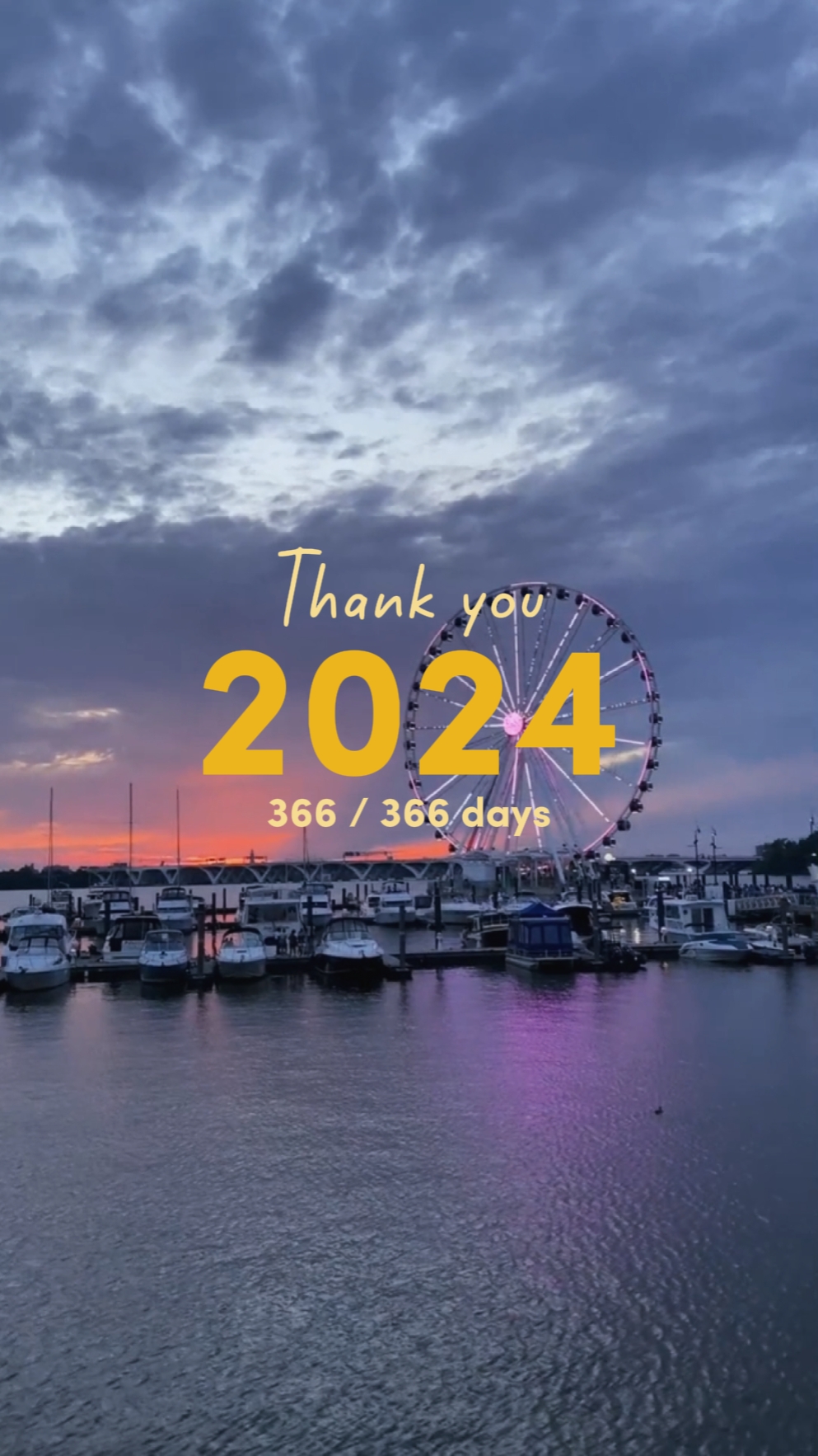 谢谢2024
