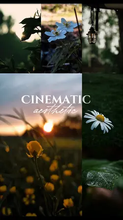 Cinematic aesthetic 