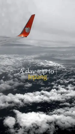 visit to japan 