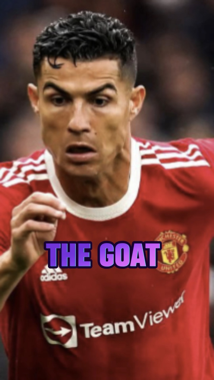 진짜 염소 🐐 