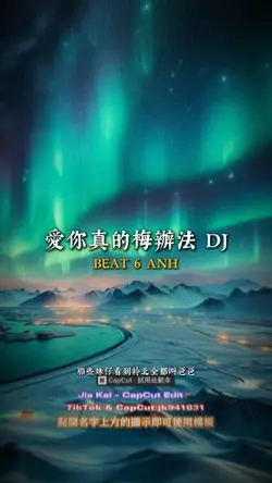 愛你真的梅辦法 DJ