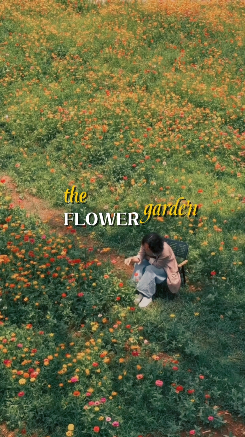The flower garden