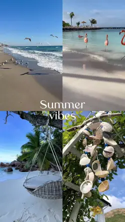 summer vibe 