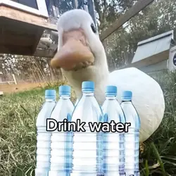 Stay hydrated 