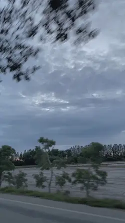 suicidal แปลไทย 