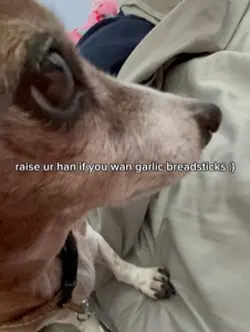 Raise ur hand if u..