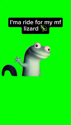 My mf lizard