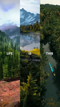 life is this