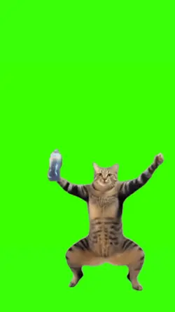 cat dancing meme