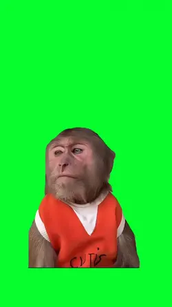 monkey thinking