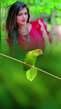 birds video tempelet