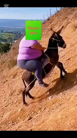 yeşil ekran şablon