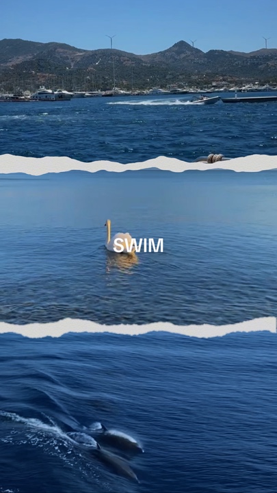SWIM - BTS