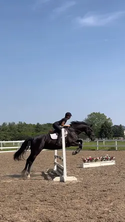 I don’t wanna fight🥲