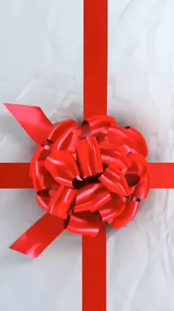 christmas gift