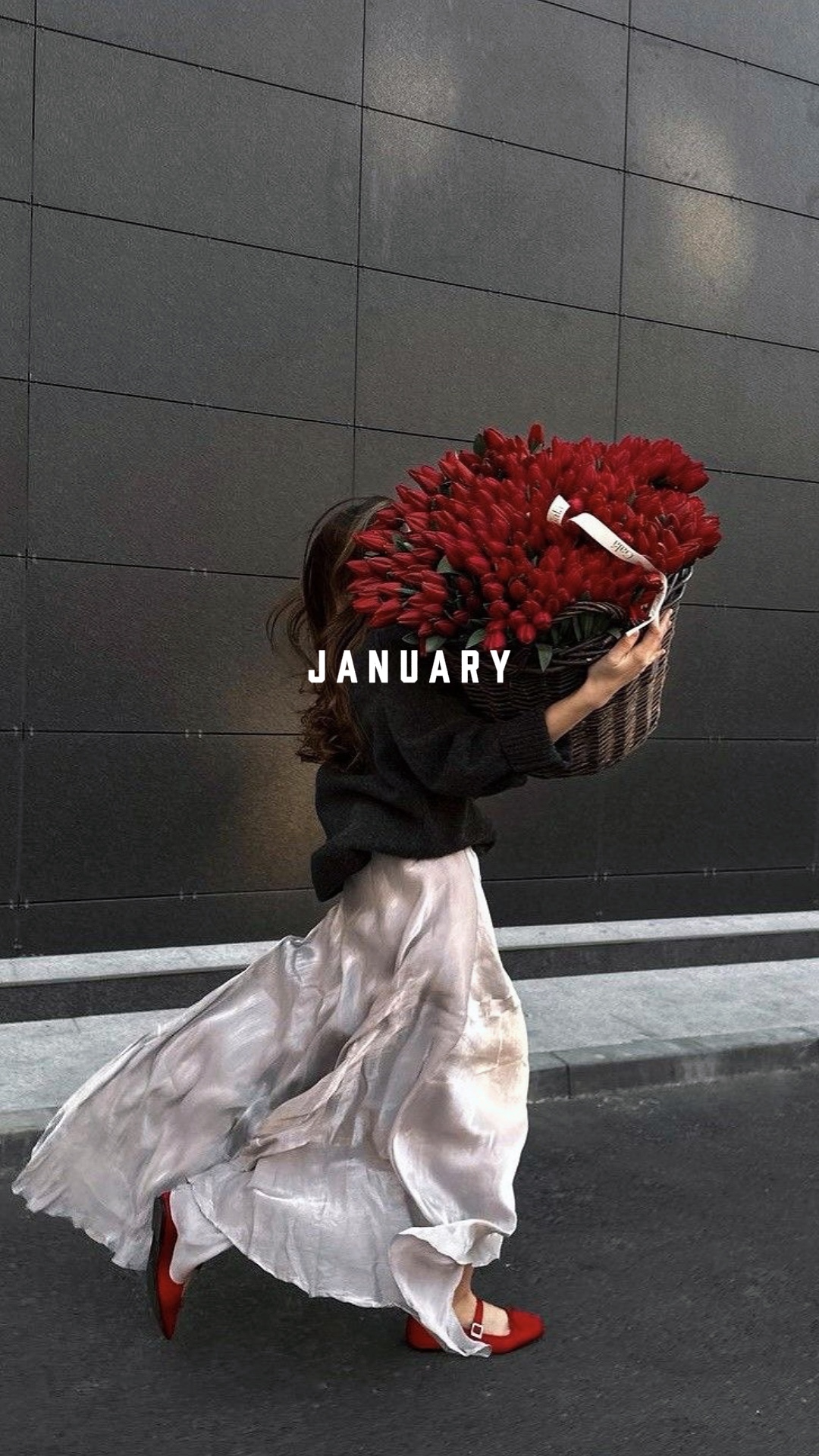 1월 사진 요약