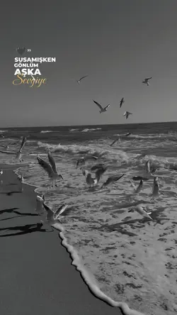 Şablon