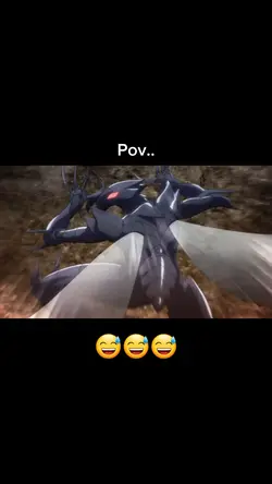 POV