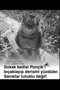 Ponçik için Adalet!!
