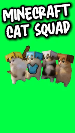 MINECRAFT CAT SQUAD