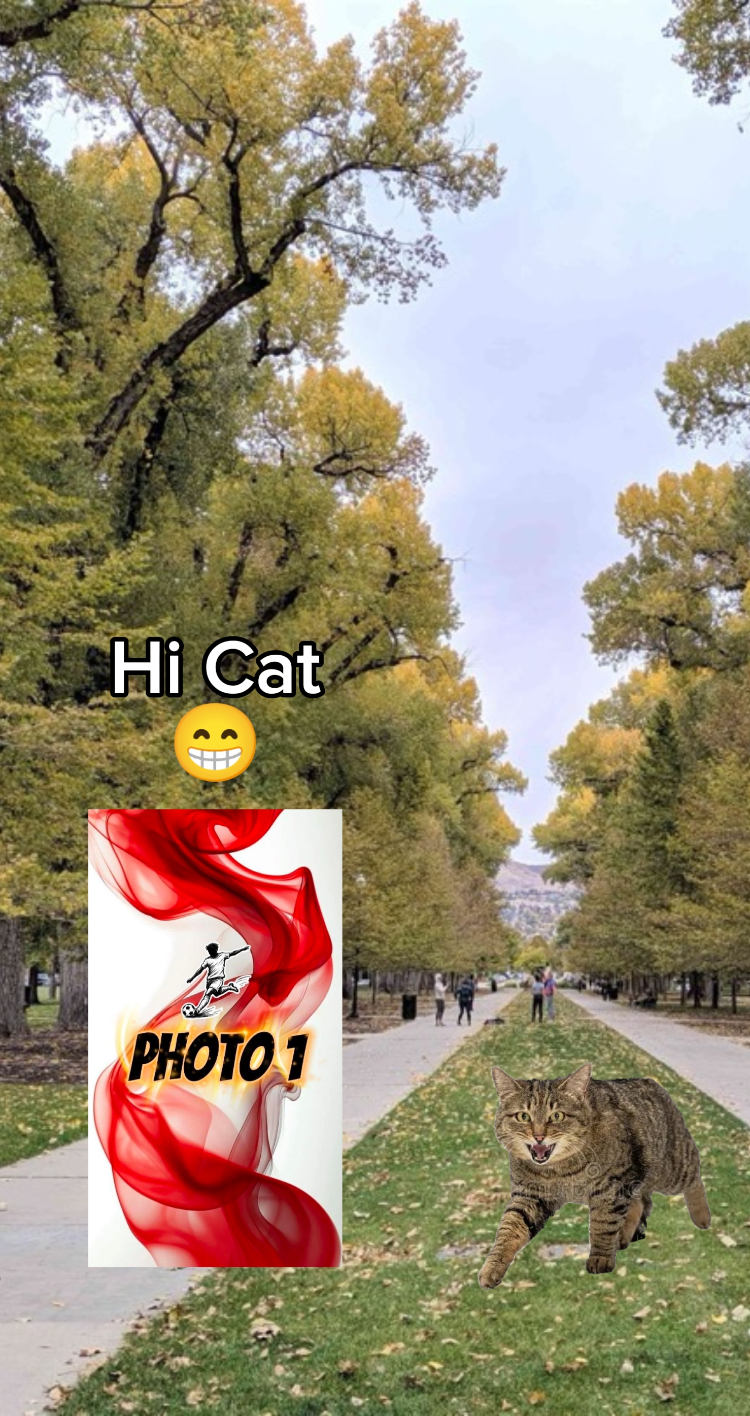 new template video