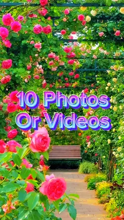 10 Photo Slides