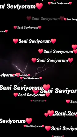 Seni seviyorum