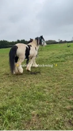 Subtle foreshadowing